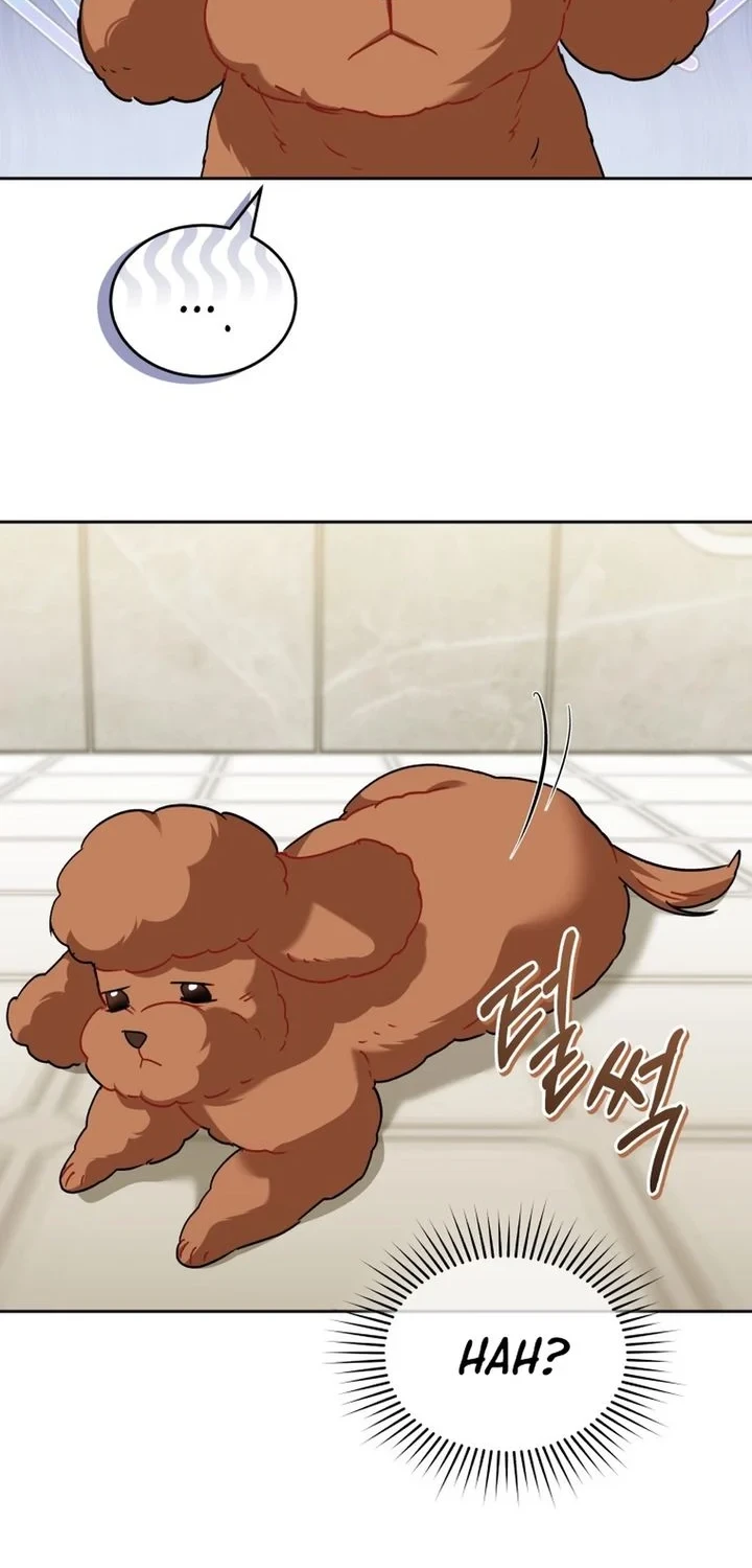 Hello? Veterinarian! Chapter 139 - halaman 29