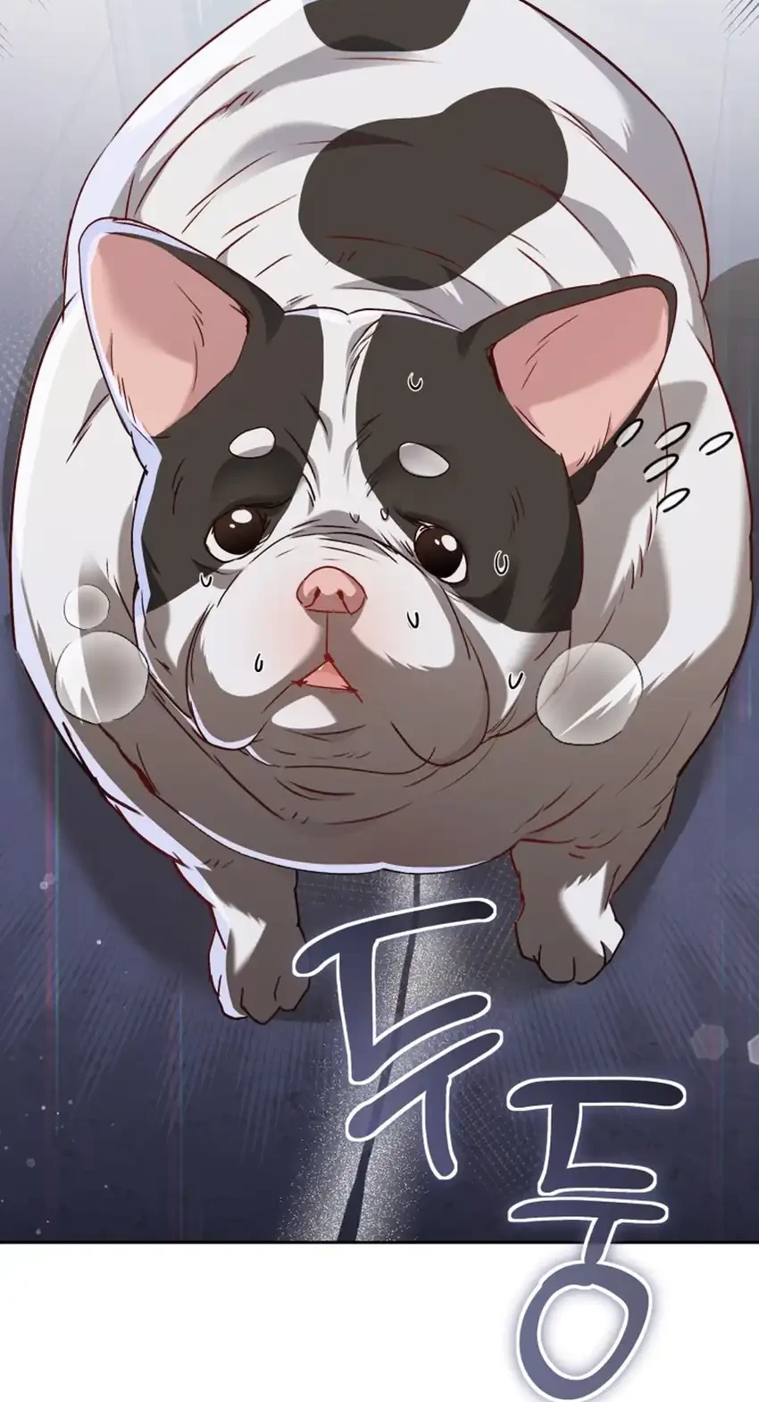 Hello? Veterinarian! Chapter 140 - halaman 57
