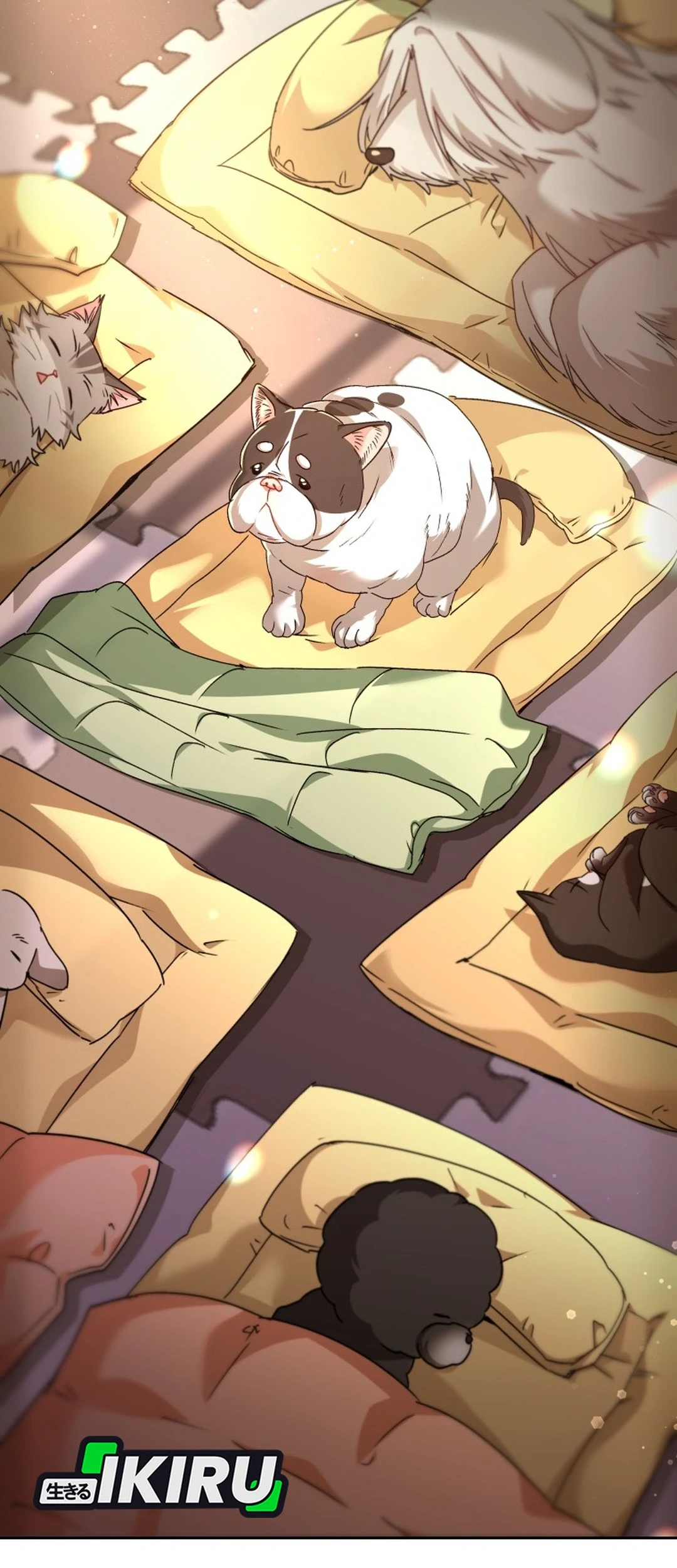 Hello? Veterinarian! Chapter 141 - halaman 66
