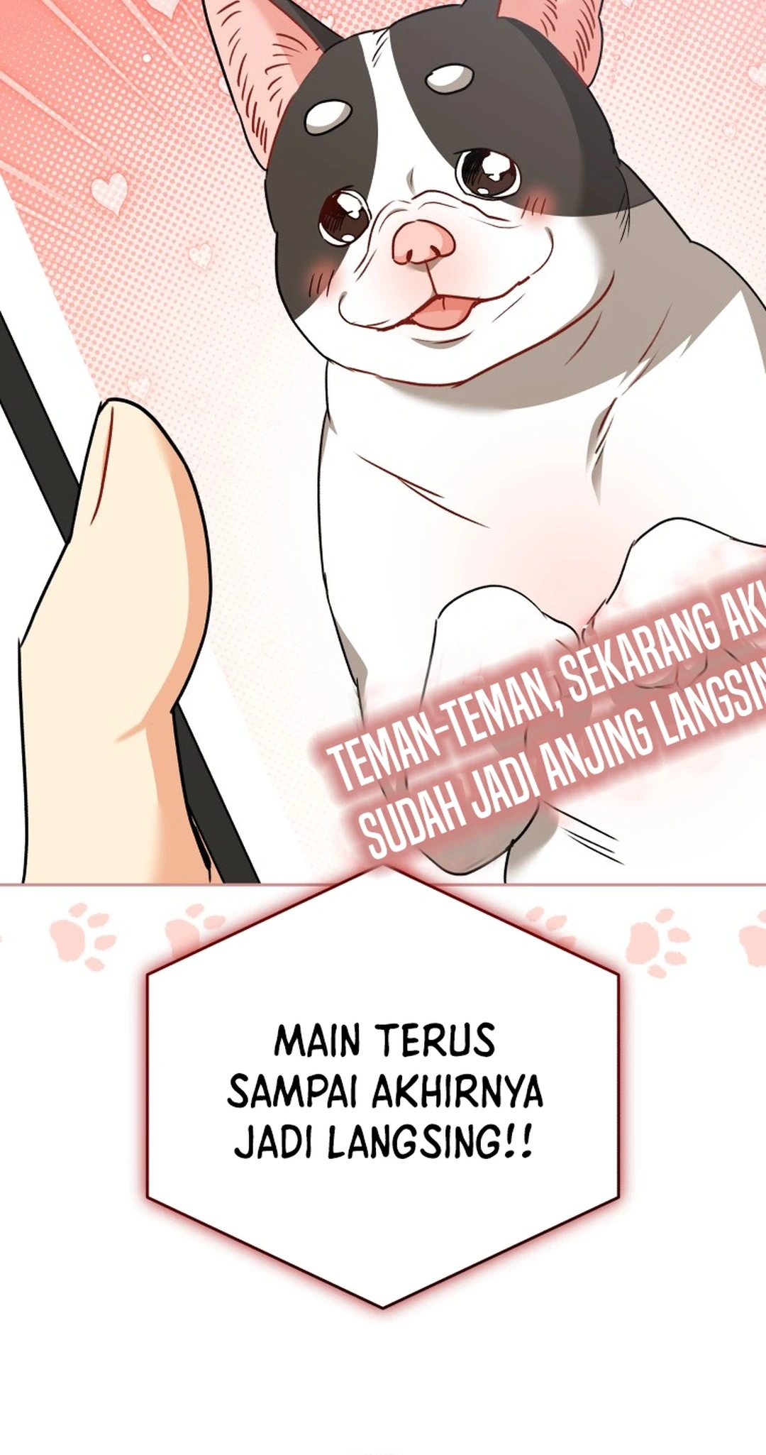 Hello? Veterinarian! Chapter 141 - halaman 91