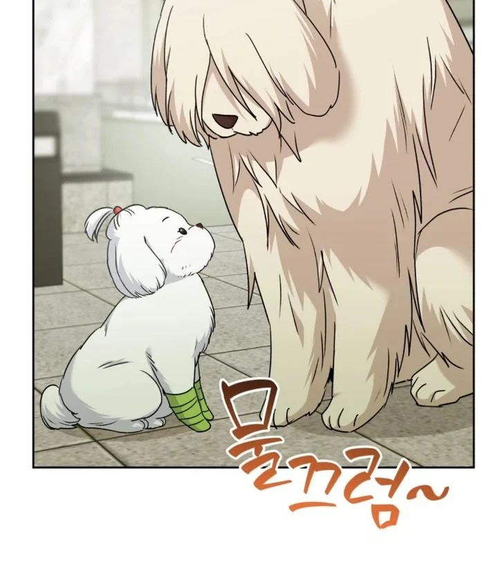Hello? Veterinarian! Chapter 144 - halaman 17