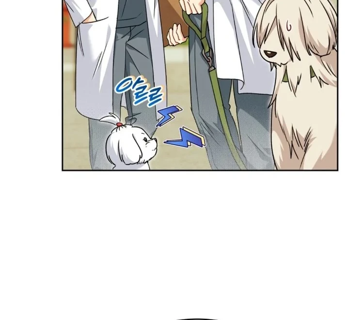 Hello? Veterinarian! Chapter 144 - halaman 19