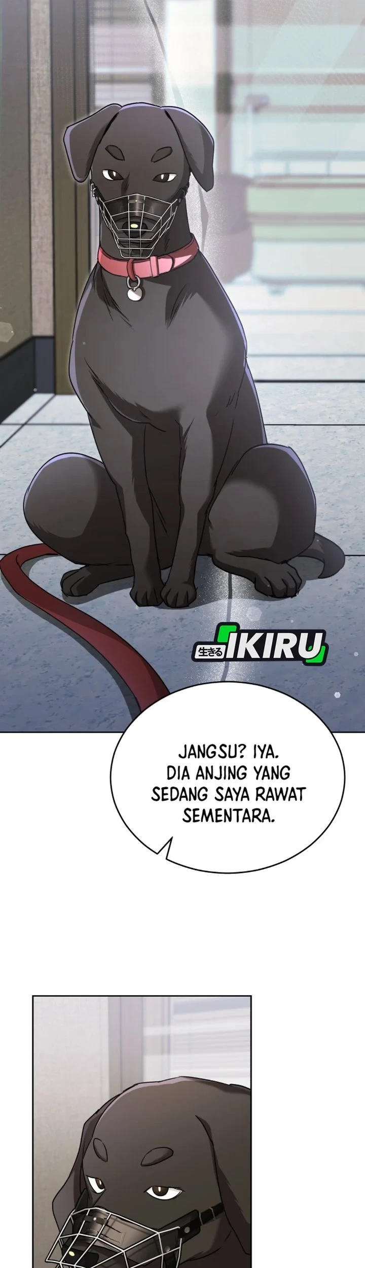 Hello? Veterinarian! Chapter 144 - halaman 31