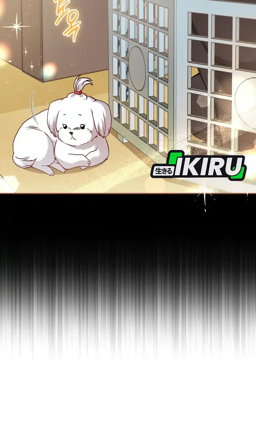 Hello? Veterinarian! Chapter 145 - halaman 31