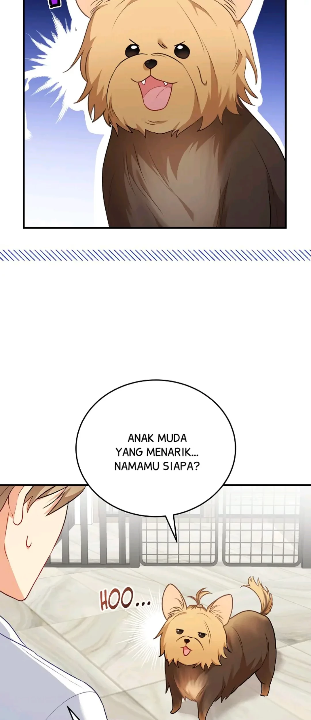 Hello? Veterinarian! Chapter 2 - halaman 52