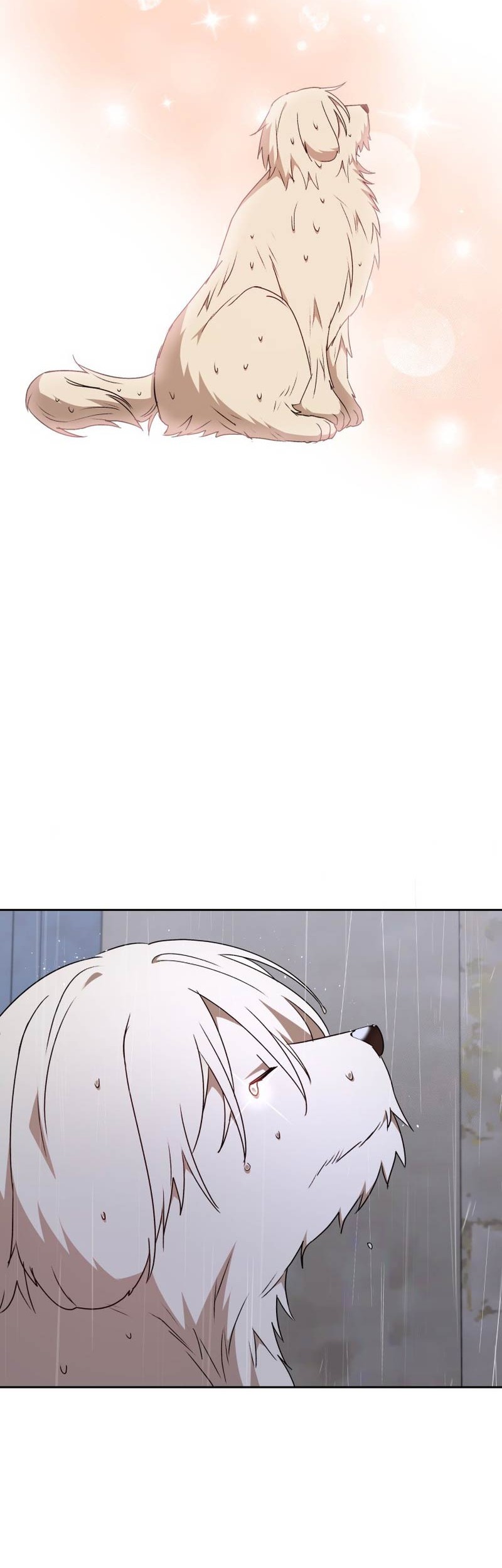 Hello? Veterinarian! Chapter 59 - halaman 57