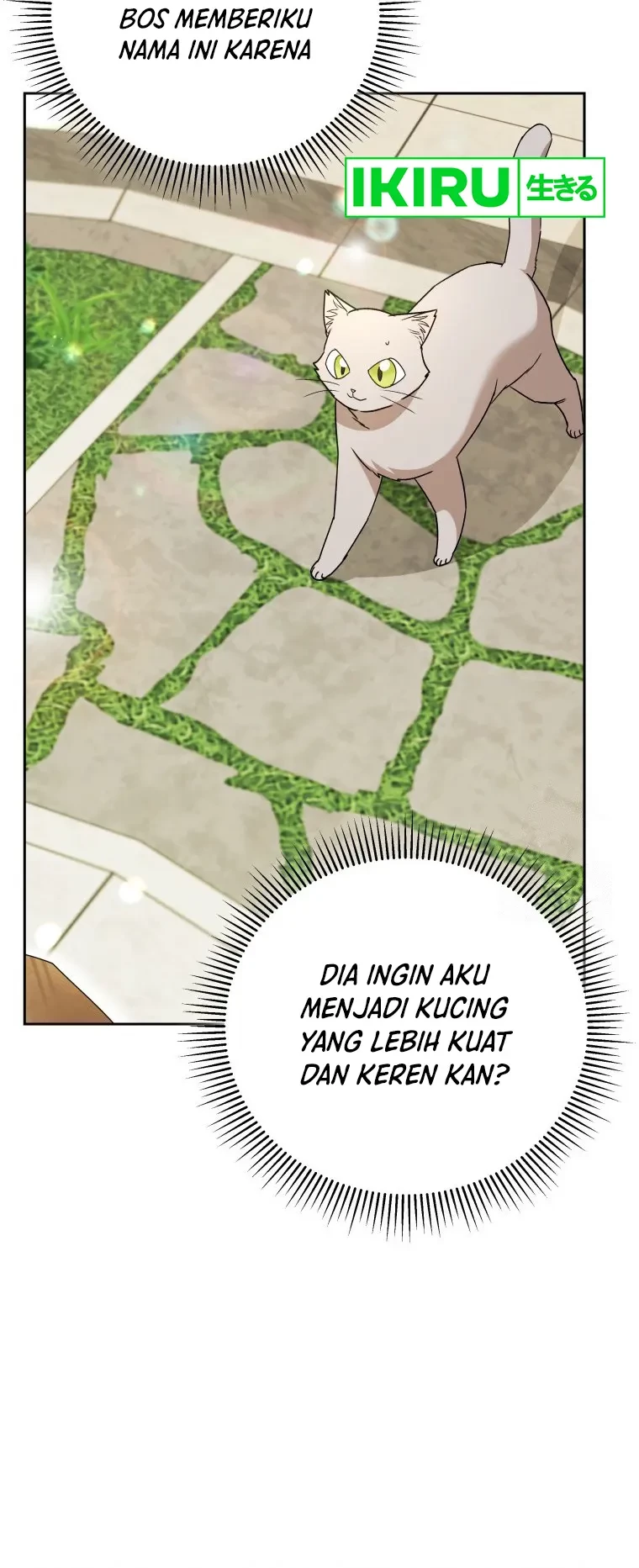Hello? Veterinarian! Chapter 81 - halaman 11