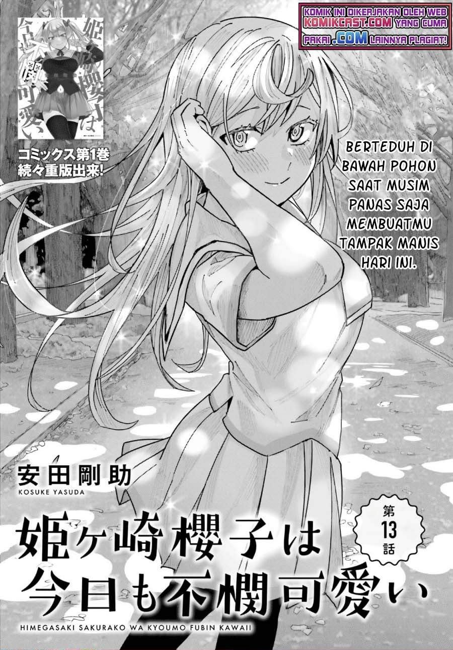 Himegasaki Sakurako wa Kyou mo Fubin Kawaii Chapter 13 - halaman 1