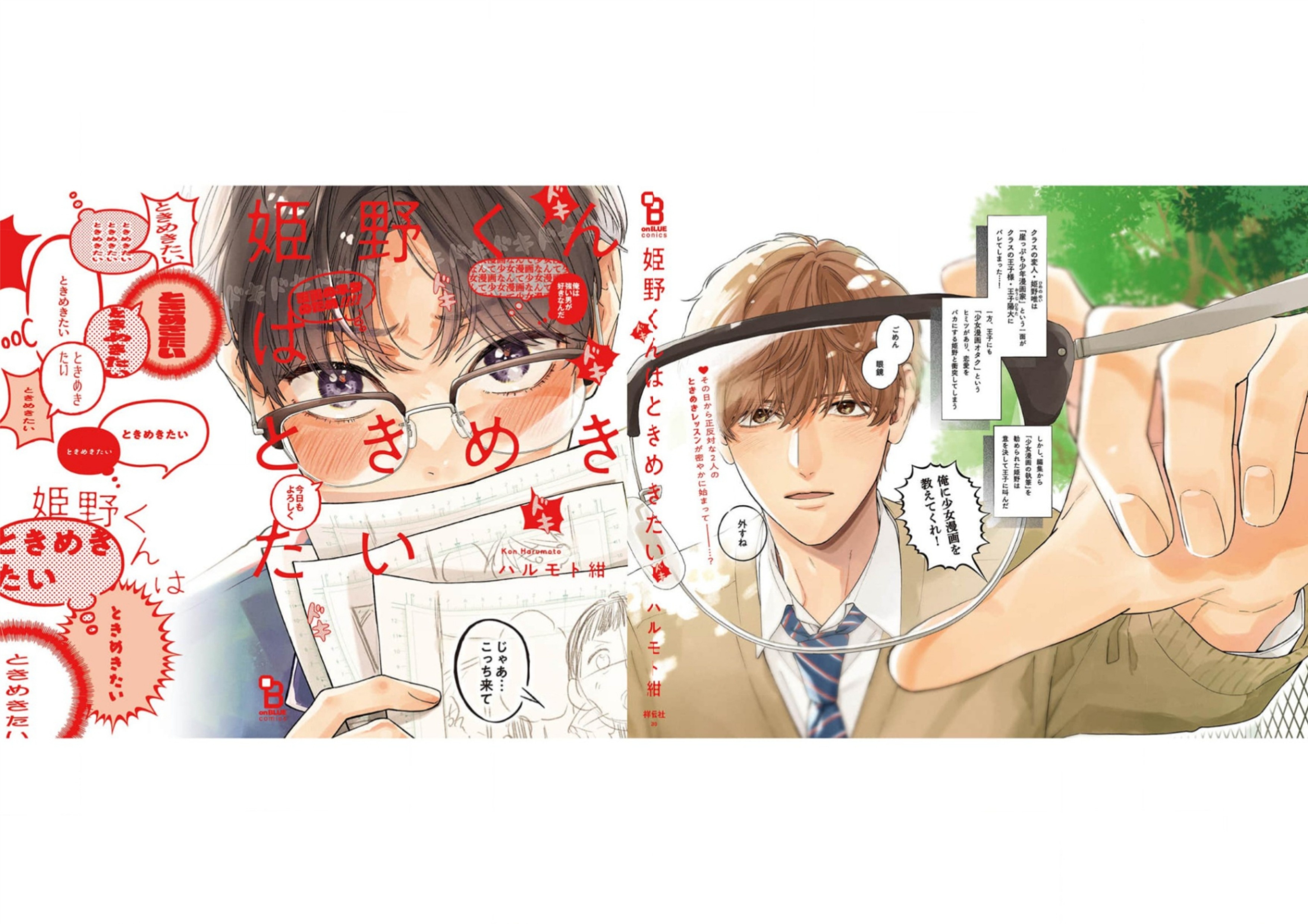 Himeno-kun wa Tokimekitai Chapter 5.5 - halaman 12