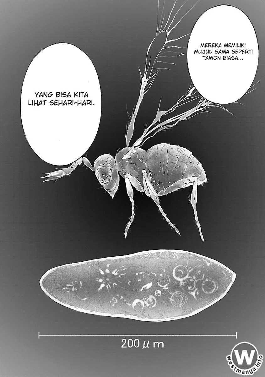 Himenospia Chapter 2 - halaman 5