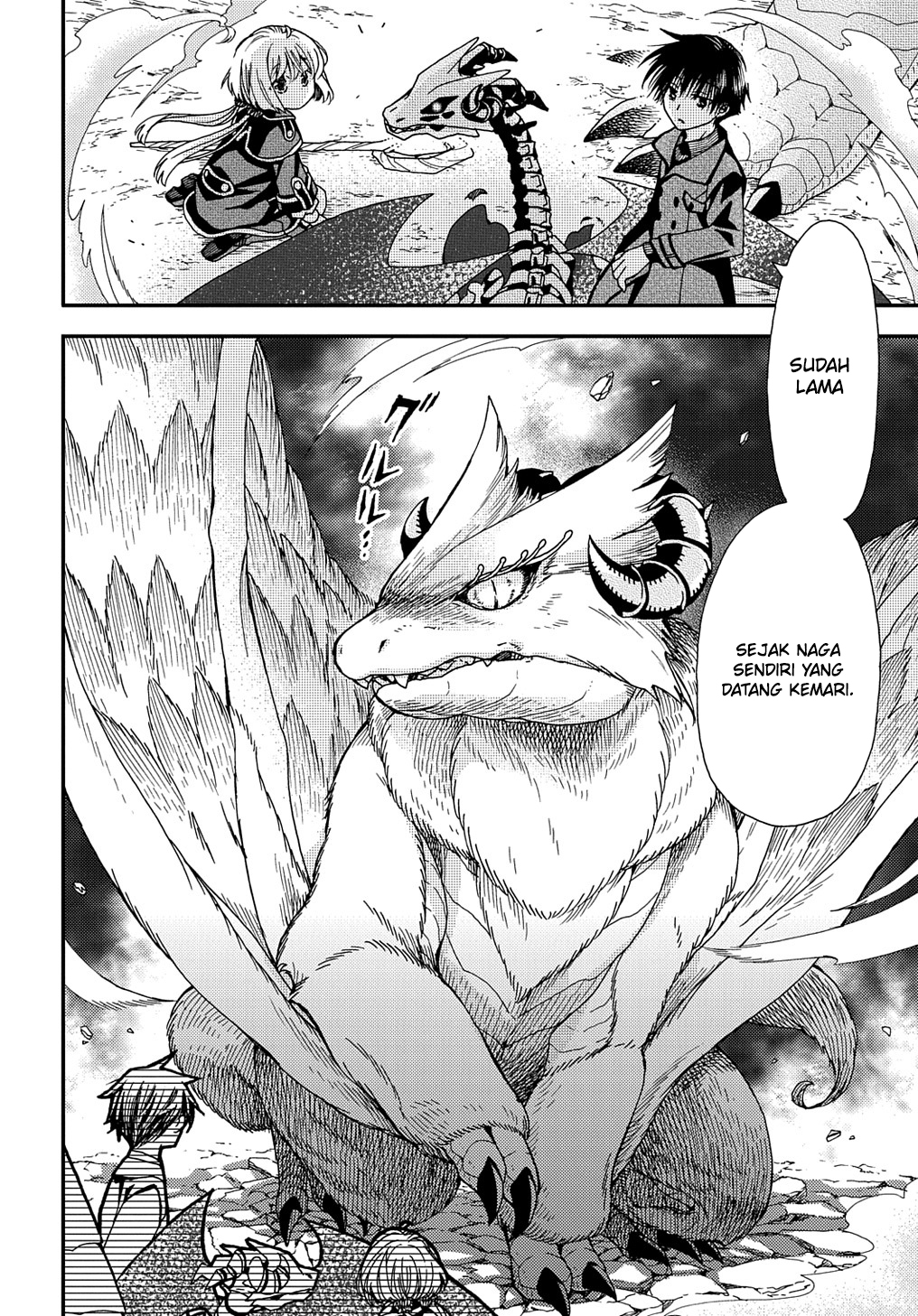 Hone Dragon no Mana Musume Chapter 20 - halaman 3