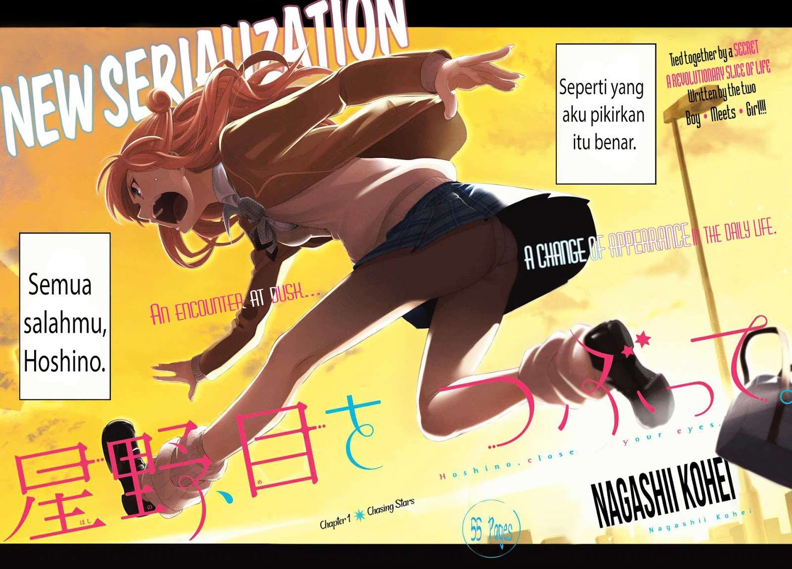 Hoshino, Me o Tsubutte Chapter 1 - halaman 4