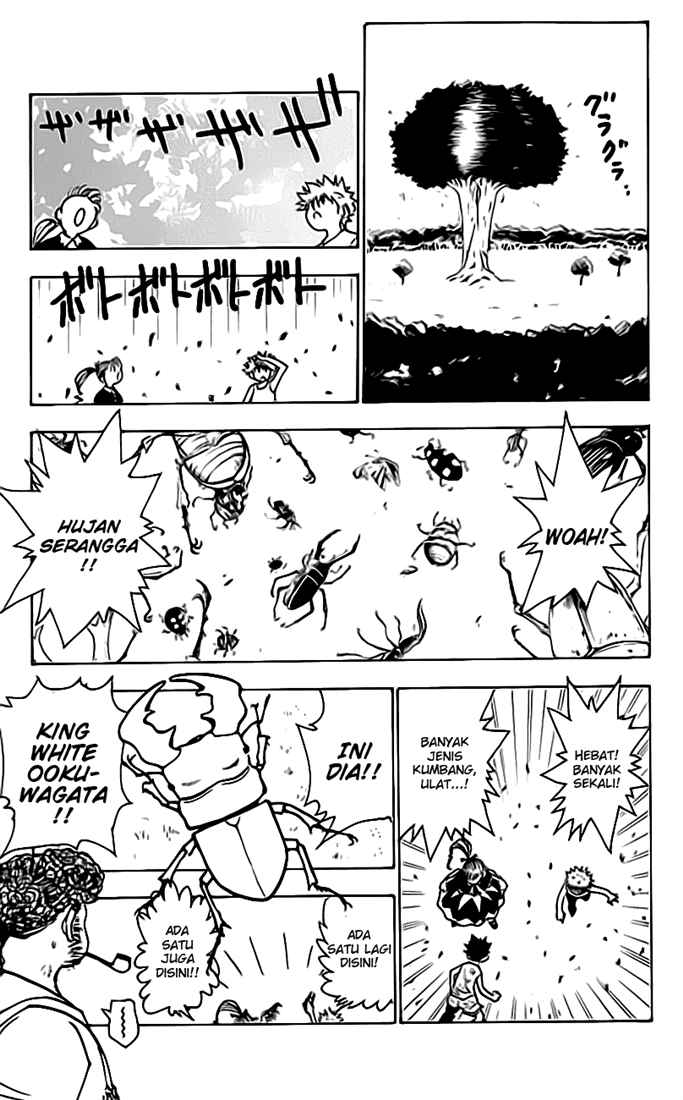 Hunter x Hunter Chapter 150 - halaman 10