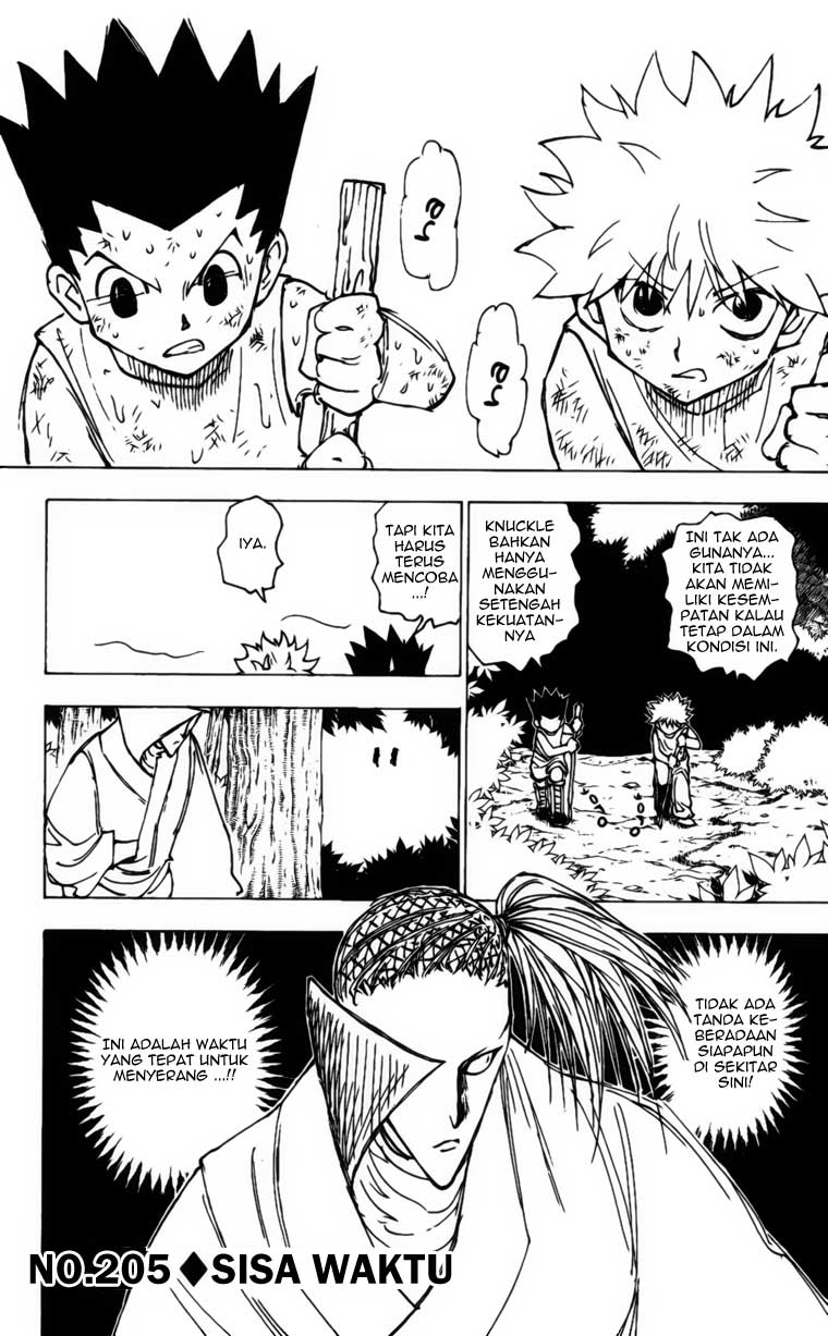 Hunter x Hunter Chapter 205 - halaman 1