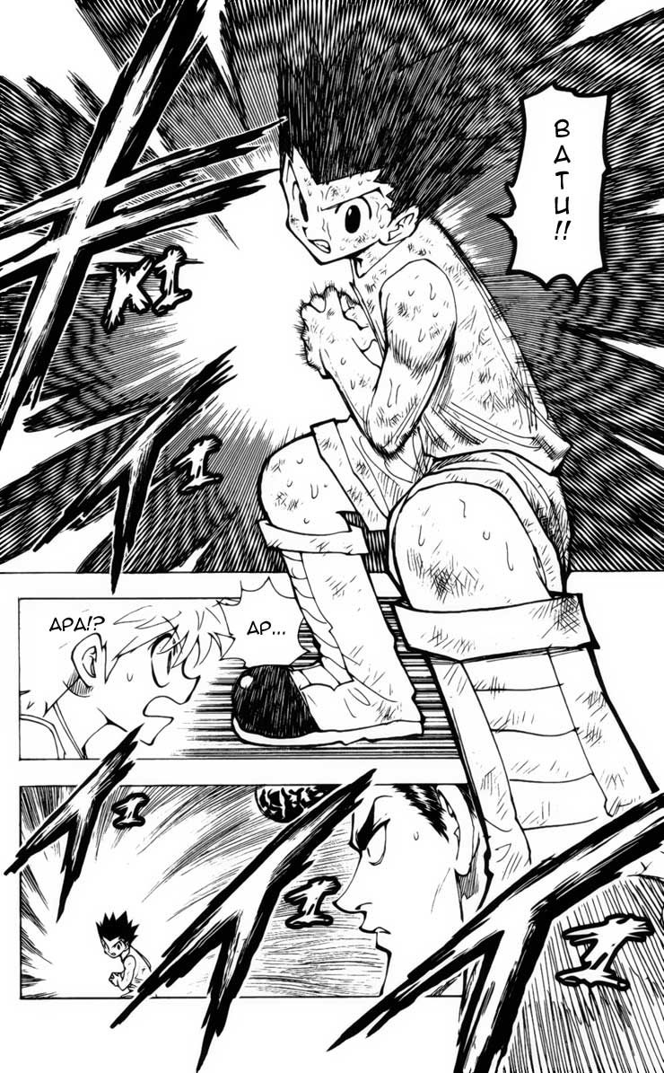 Hunter x Hunter Chapter 208 - halaman 14