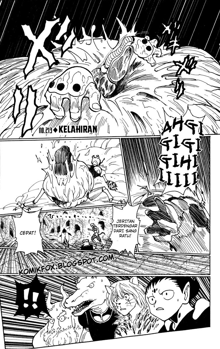 Hunter x Hunter Chapter 213 - halaman 1