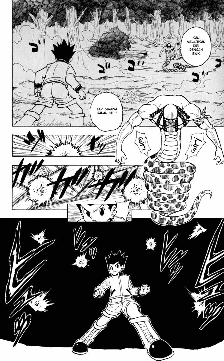 Hunter x Hunter Chapter 231 - halaman 10