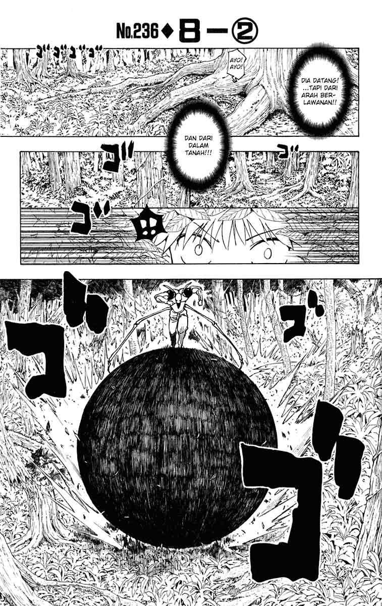 Hunter x Hunter Chapter 236 - halaman 1
