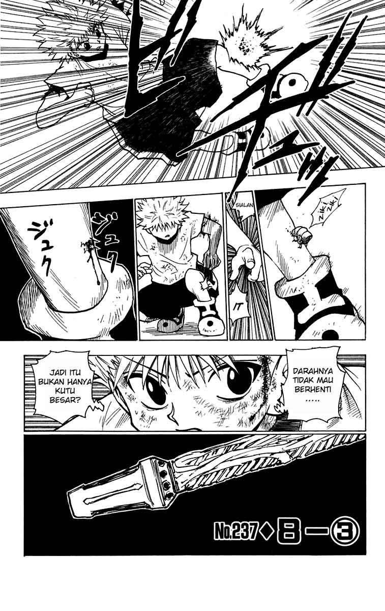 Hunter x Hunter Chapter 237 - halaman 1