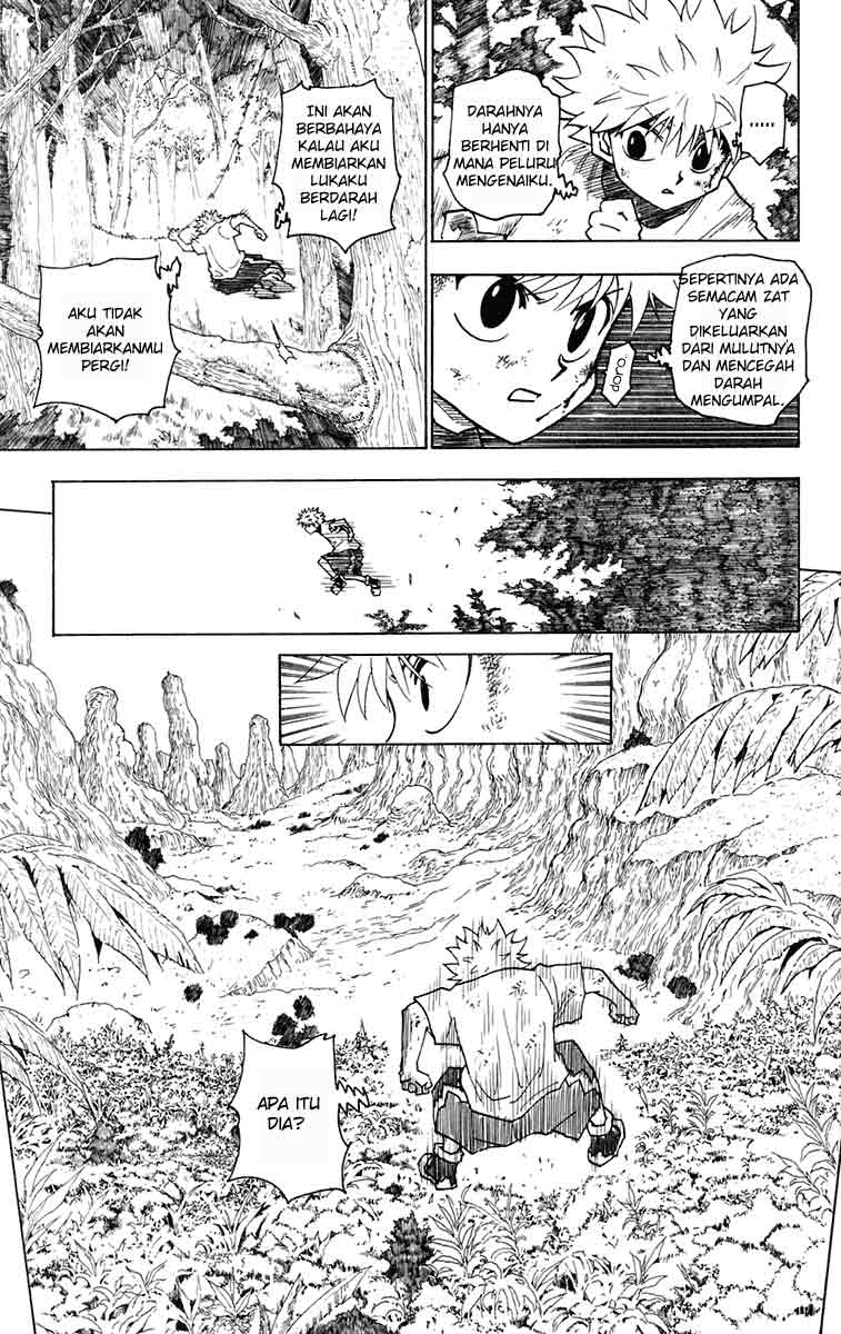 Hunter x Hunter Chapter 237 - halaman 10
