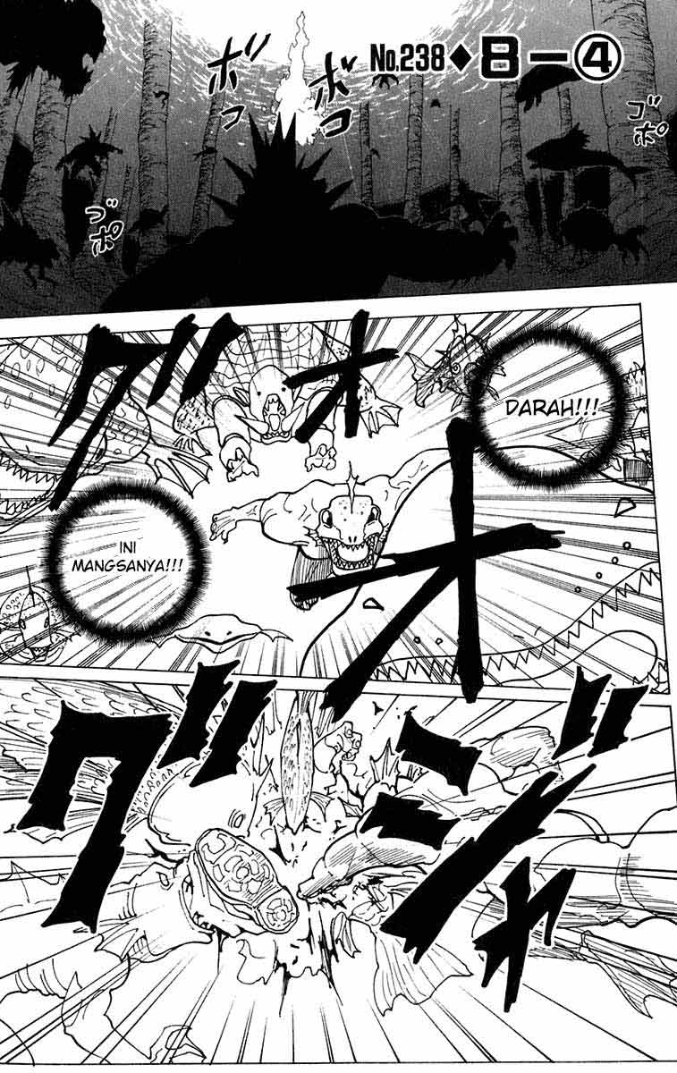 Hunter x Hunter Chapter 238 - halaman 1