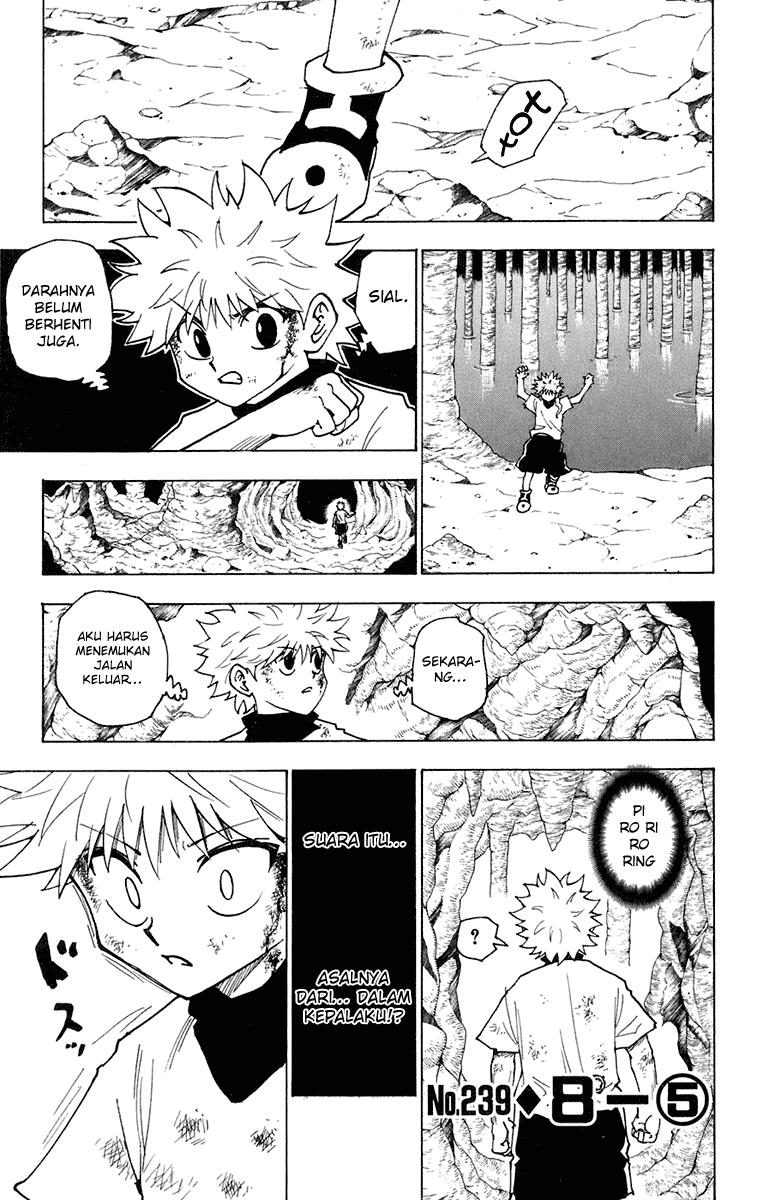 Hunter x Hunter Chapter 239 - halaman 1