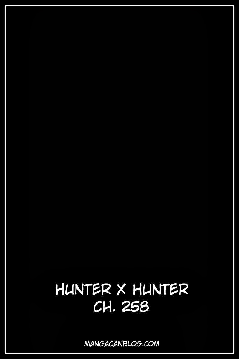 Hunter x Hunter Chapter 258 - halaman 17
