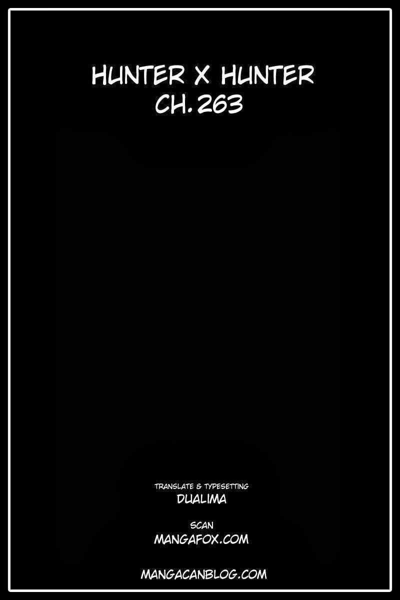 Hunter x Hunter Chapter 263 - halaman 19