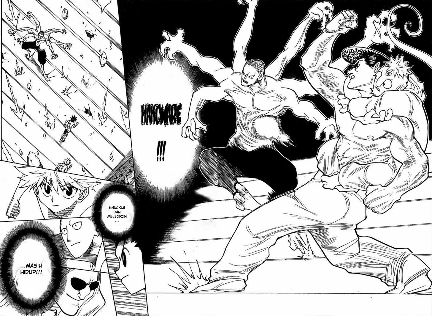 Hunter x Hunter Chapter 266 - halaman 16