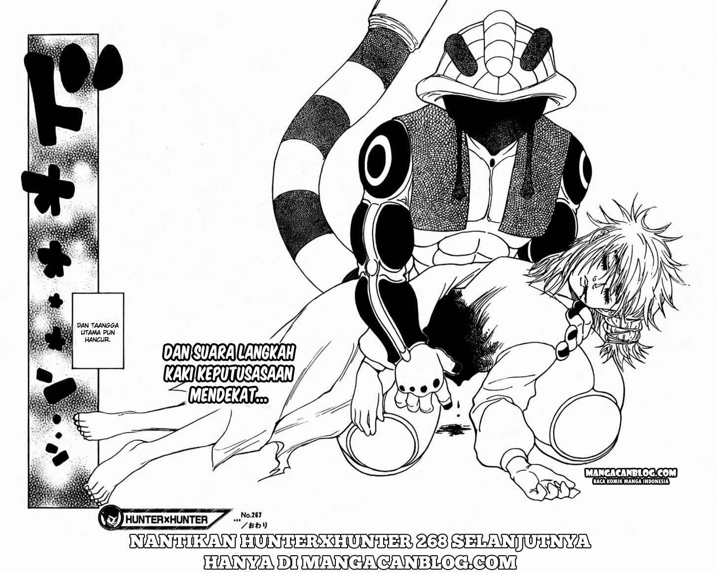 Hunter x Hunter Chapter 267 - halaman 17
