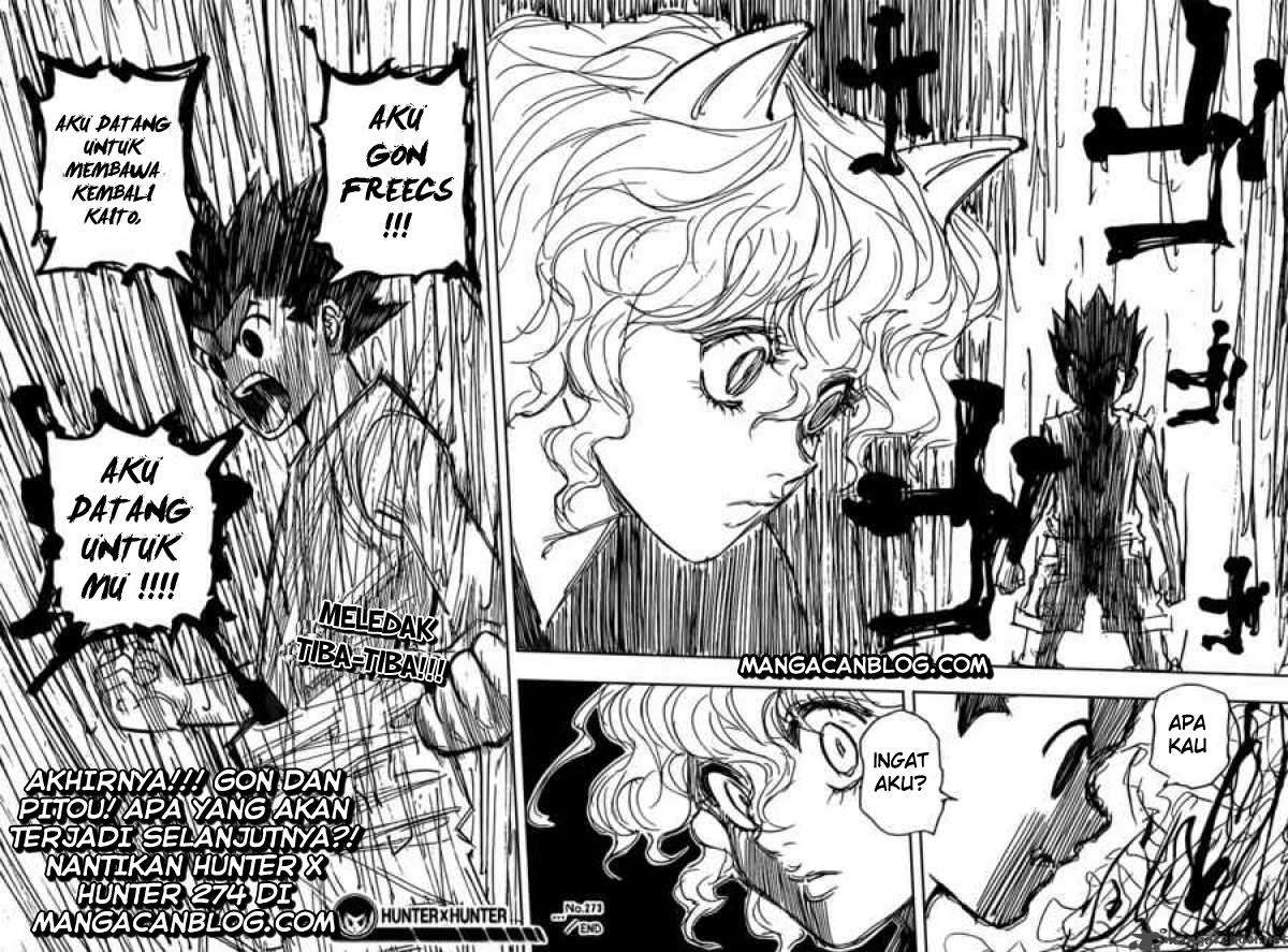 Hunter x Hunter Chapter 273 - halaman 19