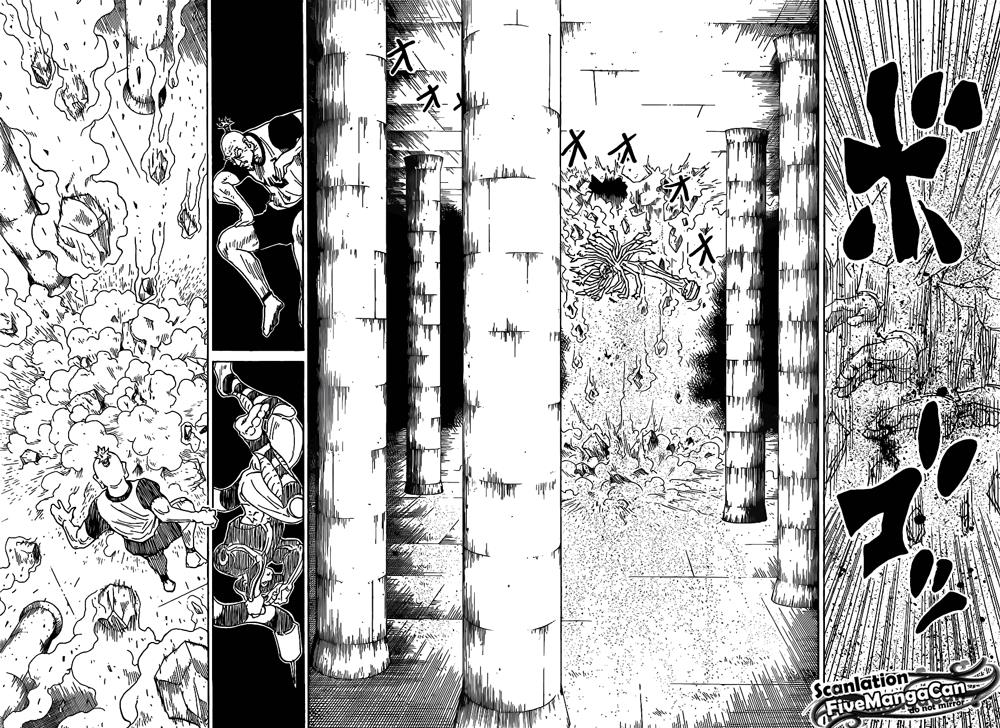 Hunter x Hunter Chapter 291 - halaman 14