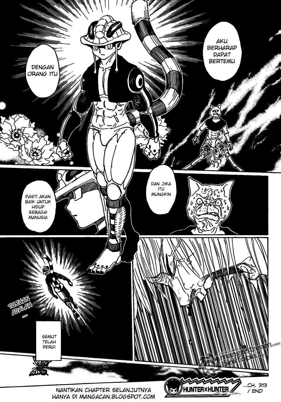 Hunter x Hunter Chapter 313 - halaman 15