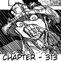 Hunter x Hunter Chapter 313 - halaman 16