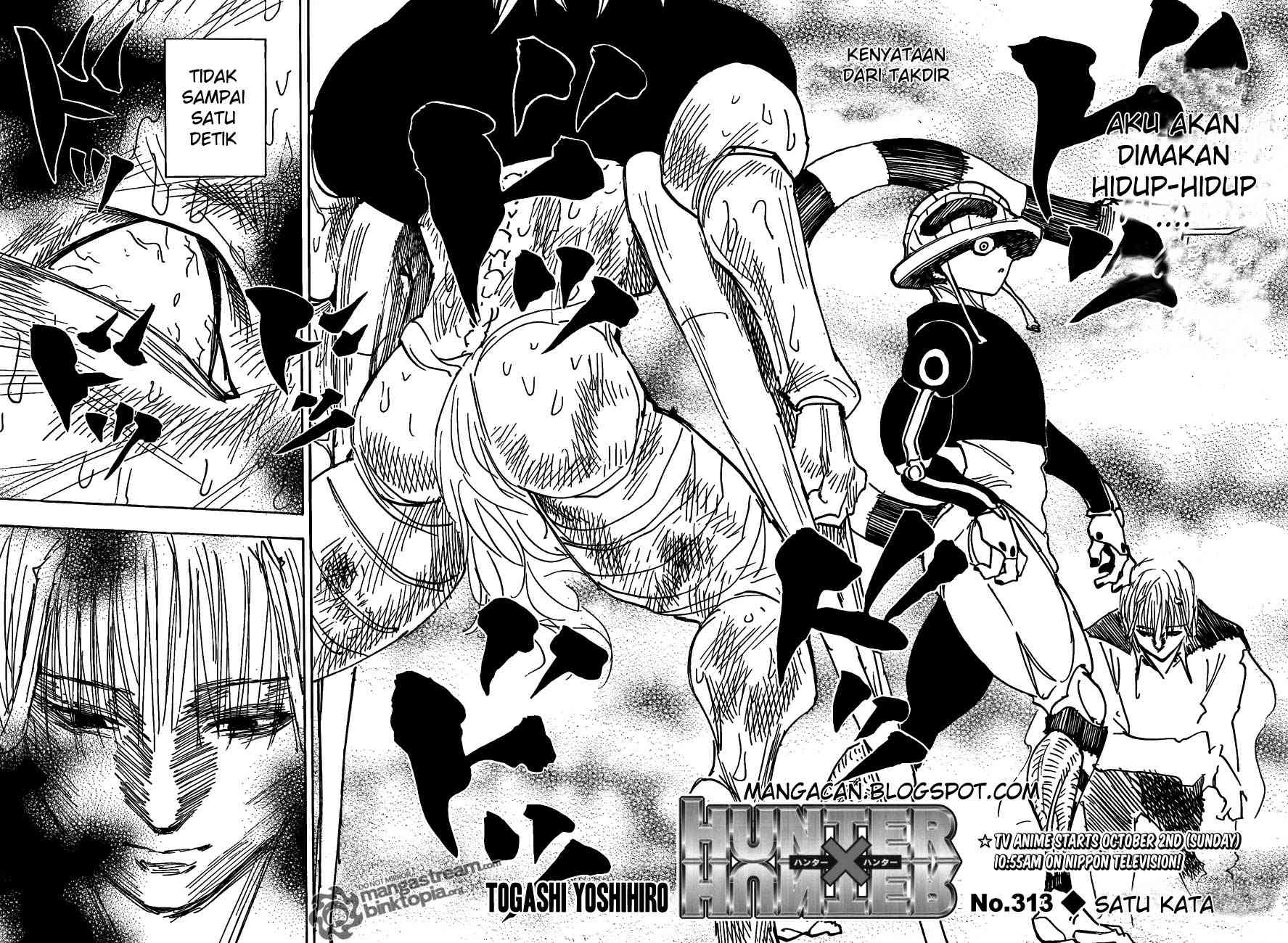 Hunter x Hunter Chapter 313 - halaman 3