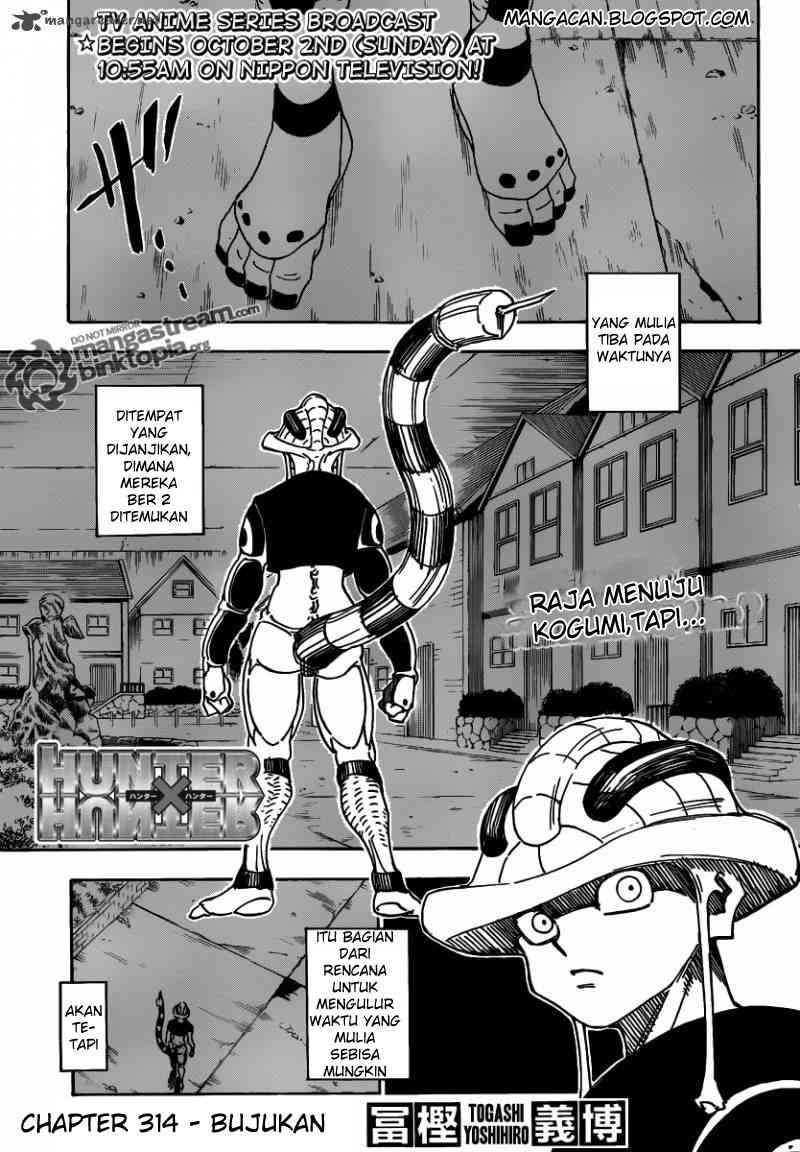 Hunter x Hunter Chapter 314 - halaman 1