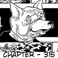 Hunter x Hunter Chapter 315 - halaman 20
