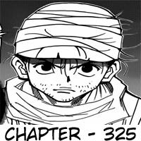 Hunter x Hunter Chapter 325 - halaman 19