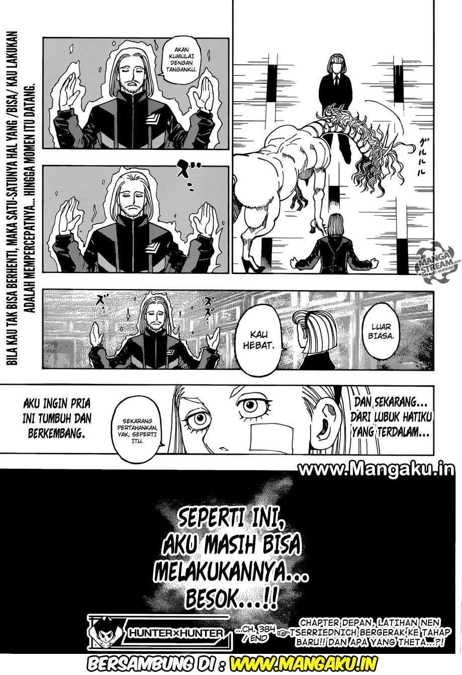 Hunter x Hunter Chapter 384 - halaman 17