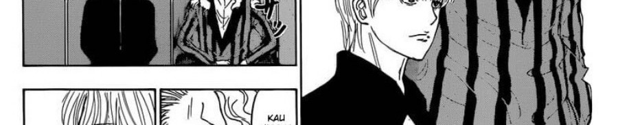 Hunter x Hunter Chapter 393 - halaman 10