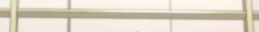 I Became a Swordsmanship Instructor at the Academy Chapter 44 - halaman 17