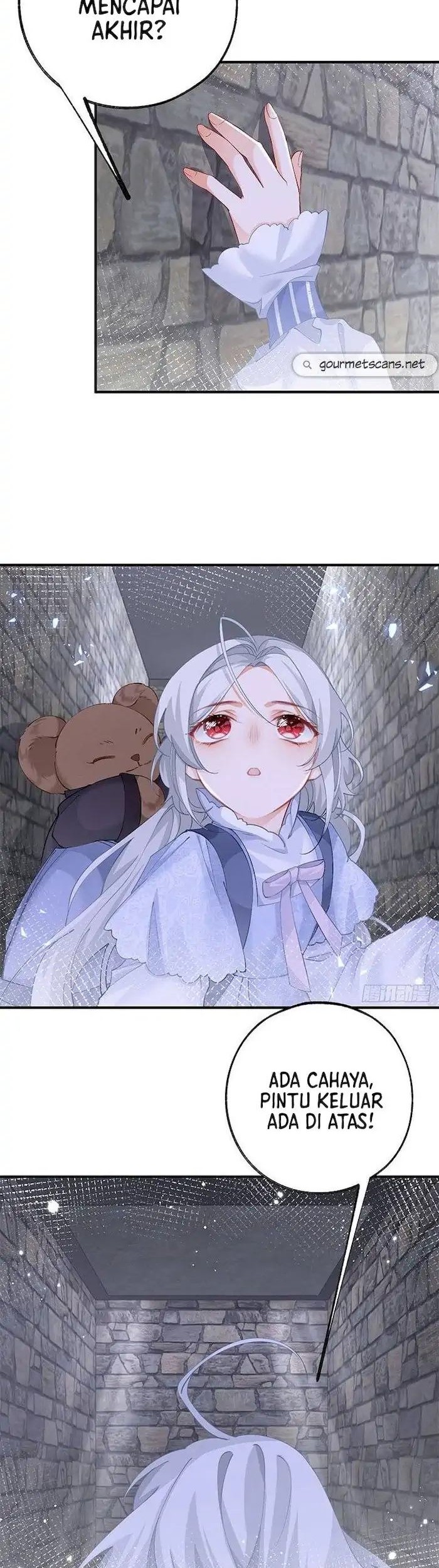 I Became the Sacrificial Princess Chapter 35 - halaman 11