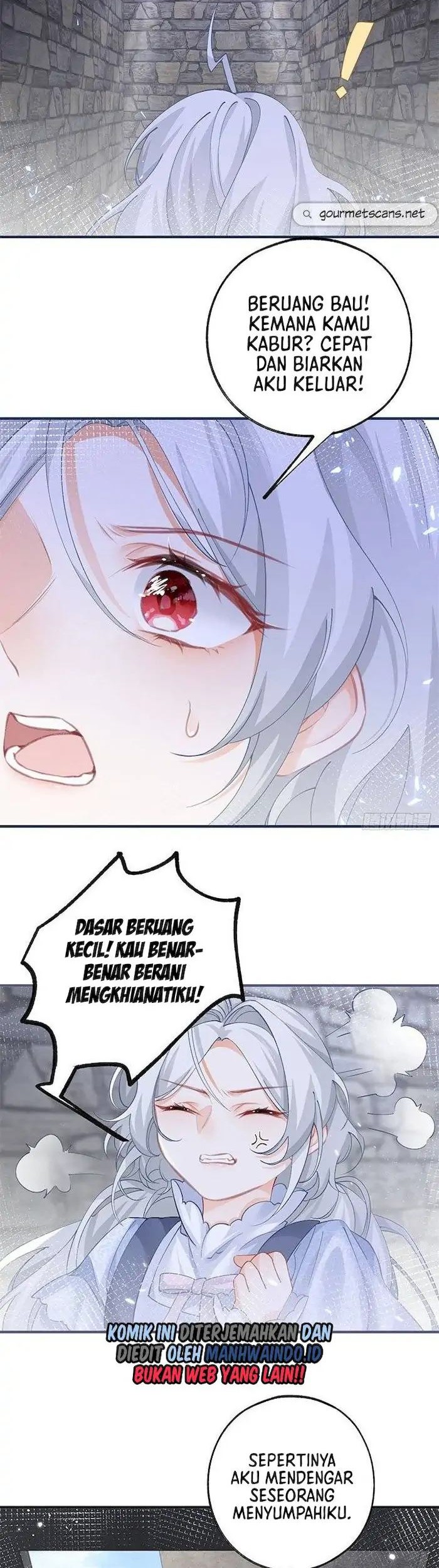 I Became the Sacrificial Princess Chapter 35 - halaman 14