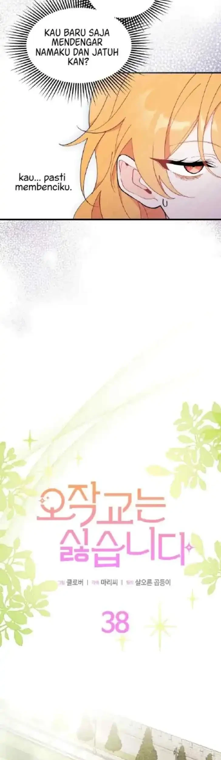 I Don’t Want to Play Matchmaker! Chapter 38 - halaman 17