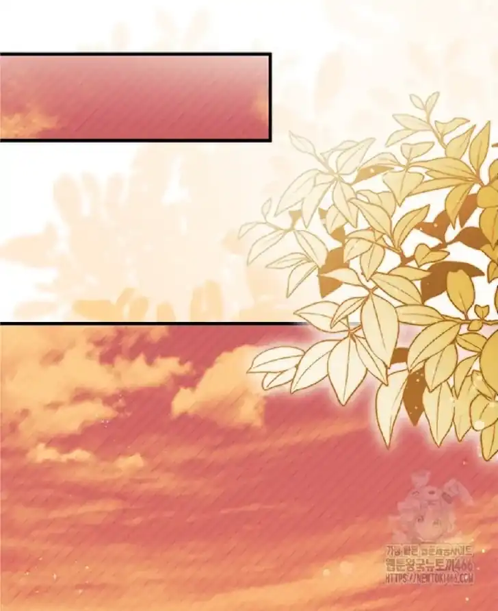 I Don’t Want to Play Matchmaker! Chapter 74 - halaman 109