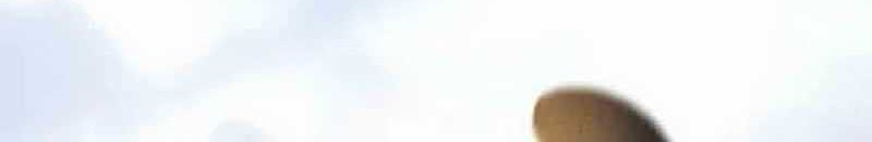 I Have 90 Billion Licking Gold Chapter 310 - halaman 15