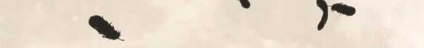 I Have 90 Billion Licking Gold Chapter 415 - halaman 24