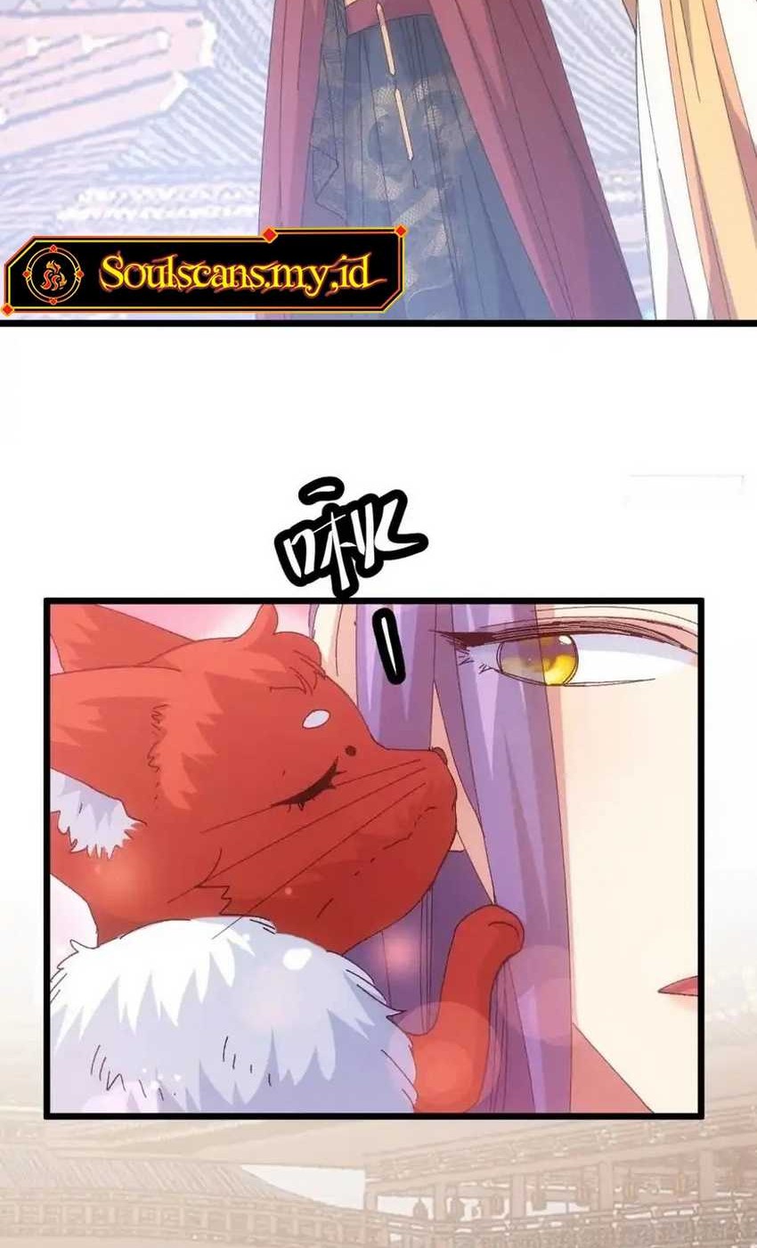 I Just Don’t Play the Card According to the Routine Chapter 249 - halaman 14