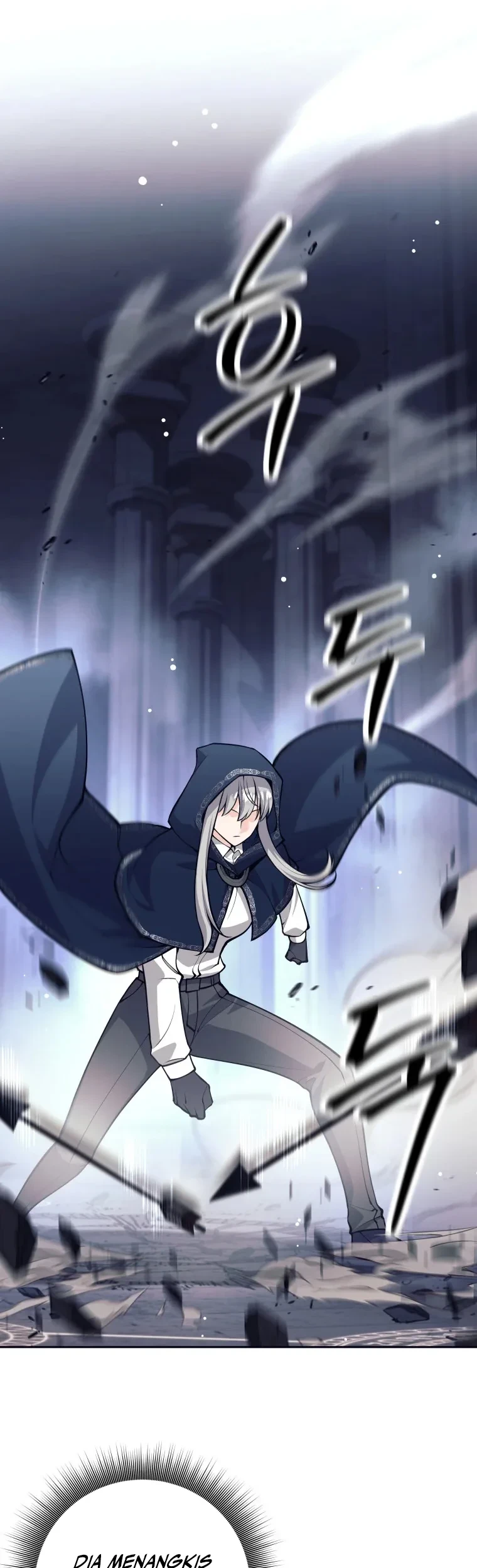 I Quit The Heros Party Chapter 125 - halaman 13
