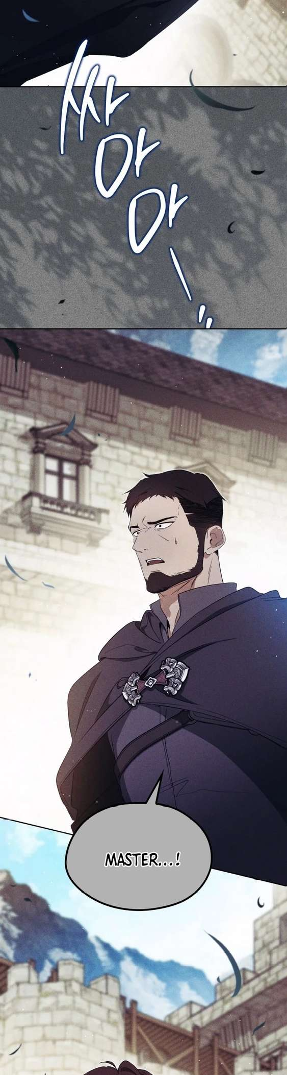 I Shall Master This Family! Chapter 206 - halaman 31